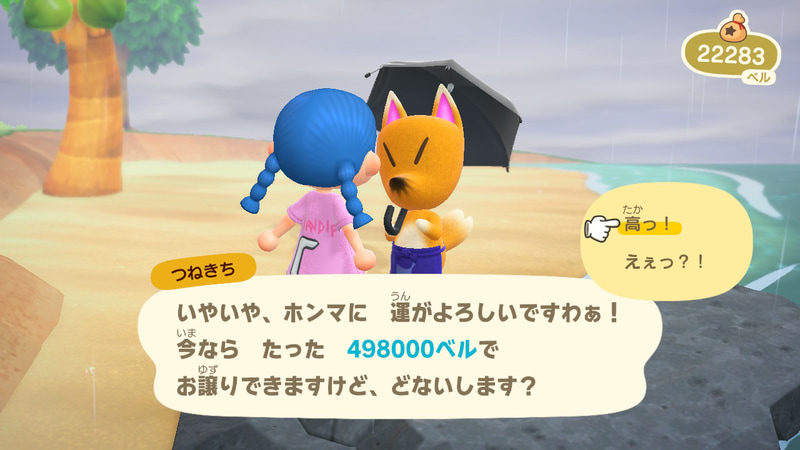 ちょっ、高すぎでしょう！！！！