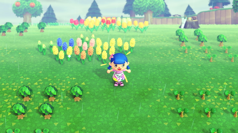 同じ品種の花を縦、横、ナナメに並べてジョウロで水をあげると、2つの花が交配してめずらしい色の花が咲くことがある