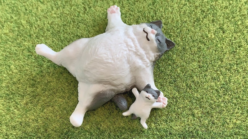 子猫は別添えなので、腕枕状態にすることも