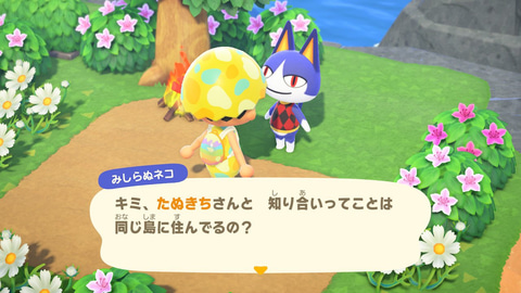 懐かしの“みしらぬネコ”に再会できる！ 「あつまれ どうぶつの森」の