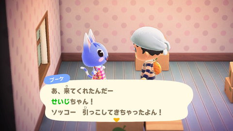 6月30日を過ぎて後悔しないための「どうぶつの森 amiiboカード」購入