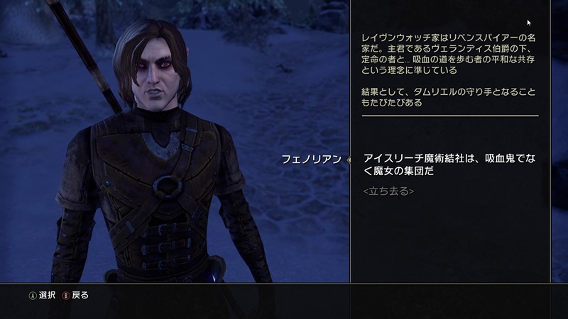 今回のクエストでは、人間と吸血鬼との平和な共存を望む吸血鬼、ヴェランディス伯爵の部下、フェノリアンや、ソリチュードの上級王の娘、スヴァナたちと共に冒険を進める
