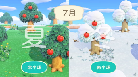 本日のムシとり大会は、季節が夏の北半球でのみ開催