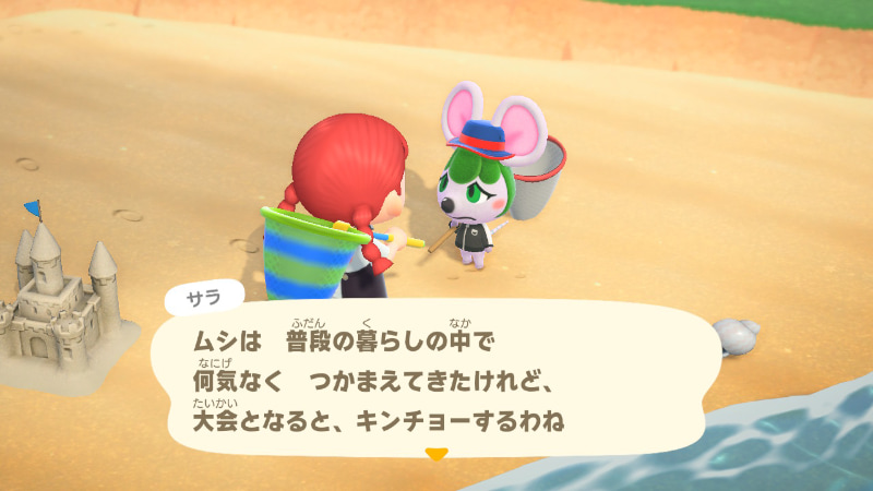 島に住むどうぶつたちも参加中