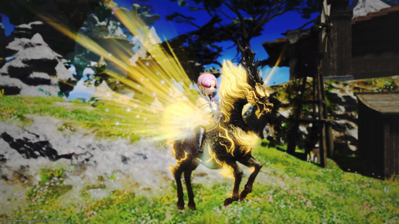 上記2つはバトルコンテンツでのドロップ品のマウント。マウントがドロップするのはいずれも難易度が高めのコンテンツですが、マウントのためにバトルコンテンツに参加するプレーヤーもいます