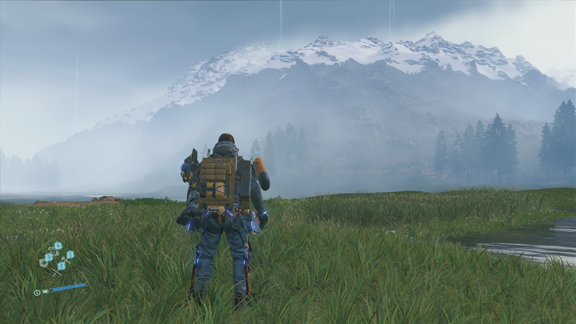 広大な草原を駆け抜ける