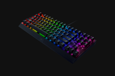 Razer、ゲーミングキーボード「BlackWidow V3 TKL」&「Huntsman Mini
