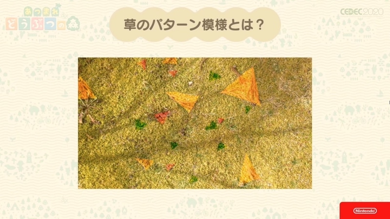 植生や落ち葉、生育度の違いを見ていくと