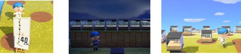 夢番地：DA-8305-5394-0142