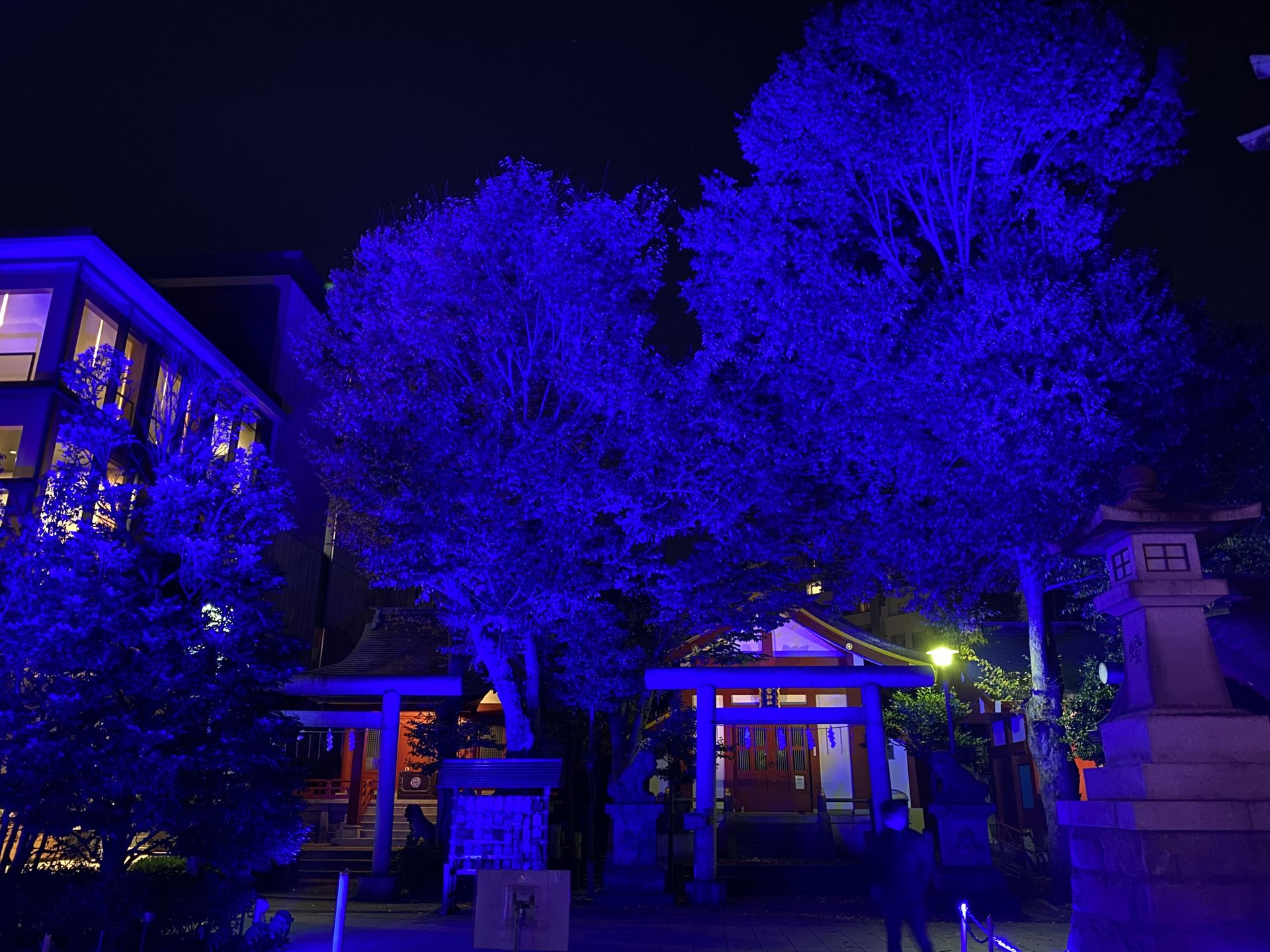 やはり「Ghost of Tsushima」感ある