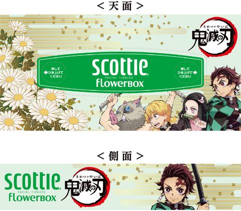 日本製紙クレシアより「スコッティ ティシュー フラワーボックス