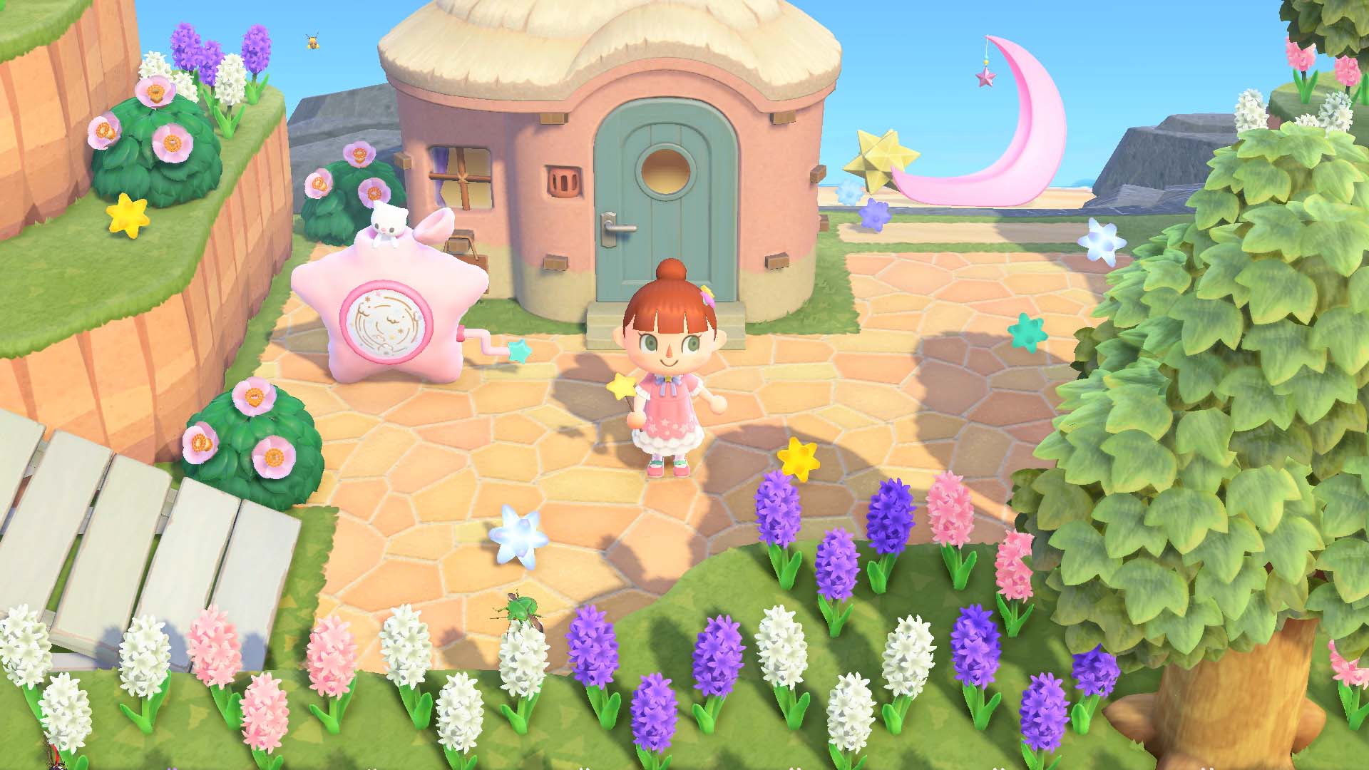 もちろん、「パニーの島」のスタジオで記念撮影することもできる