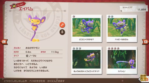 Pokemon Presents】写真の加工やオンライン機能も！ 新情報盛り沢山な