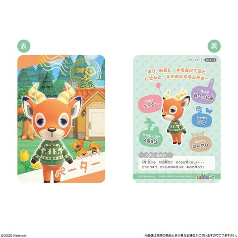 ブーケやシベリアがデザインされたカードも！「あつまれ どうぶつの森