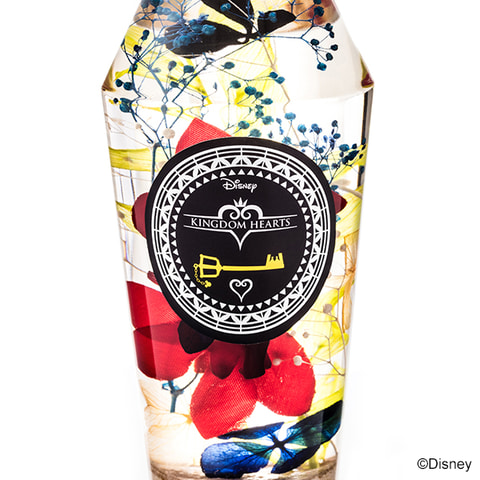 キングダム ハーツIII」より、ソラたちをイメージしたハーバリウムが