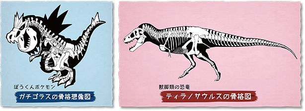 カセキから復元されるポケモンの骨はどうなっているのかな？