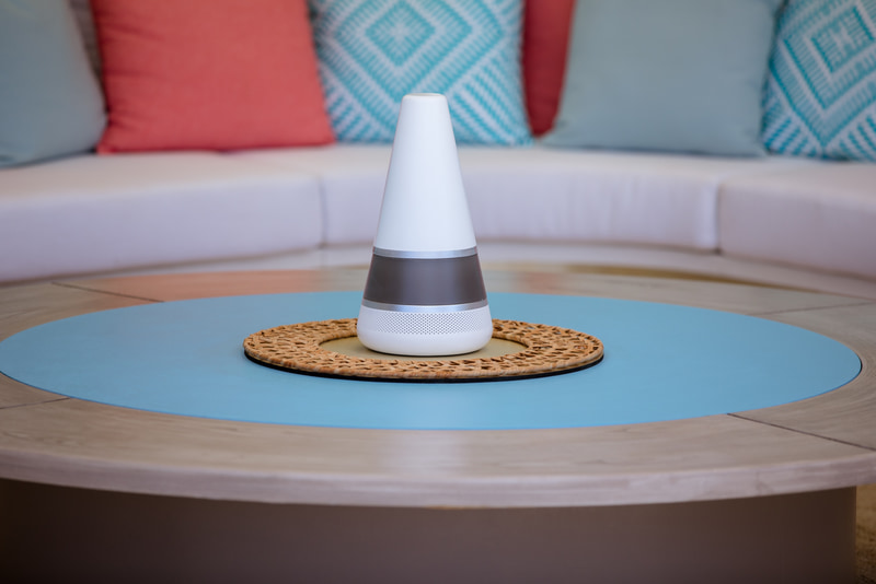 ザ・ジレンマ: もうガマンできない?!: シーズン2（6月23日独占配信）