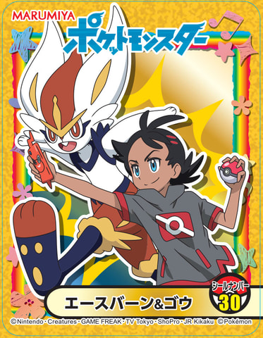 ポケモンキラキラシール入り！ 「ポケモン まぜごはんの素」チキン