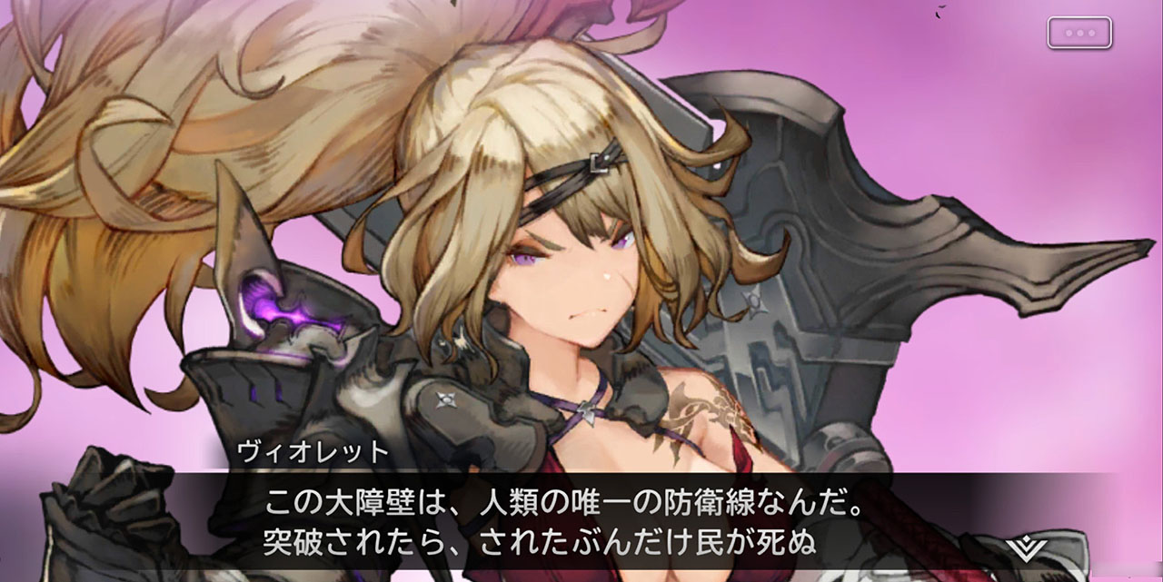 決死の覚悟で魔物を食い止める境界騎士団