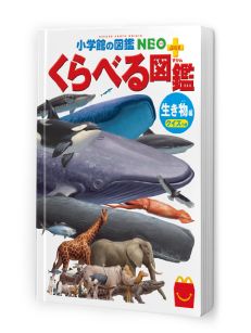 シールを貼りながら図鑑を完成させよう！