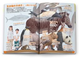 シールを貼りながら図鑑を完成させよう！