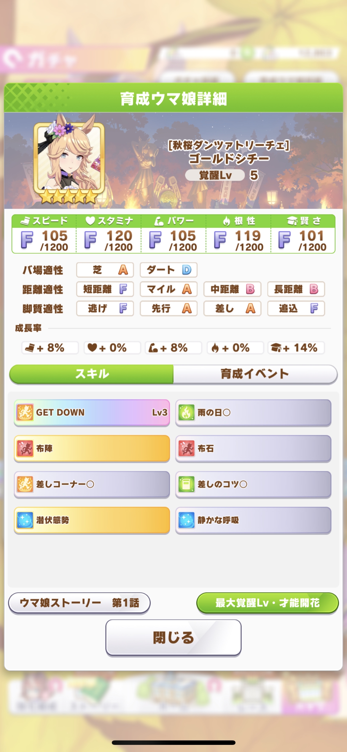 ★★★ [秋桜ダンツァトリーチェ]ゴールドシチー