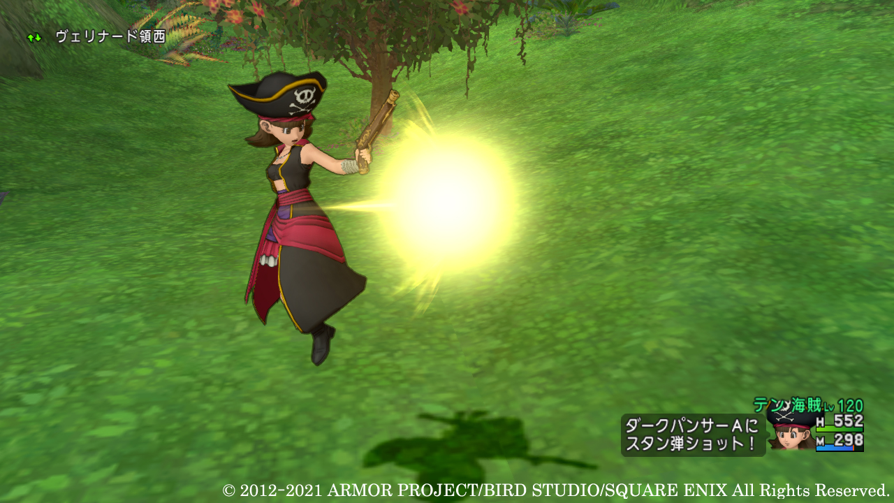 様々なチカラを込めた弾丸を相手に打ち込む銃による特技。属性攻撃や状態異常など、多彩な攻撃手段で攻め込もう