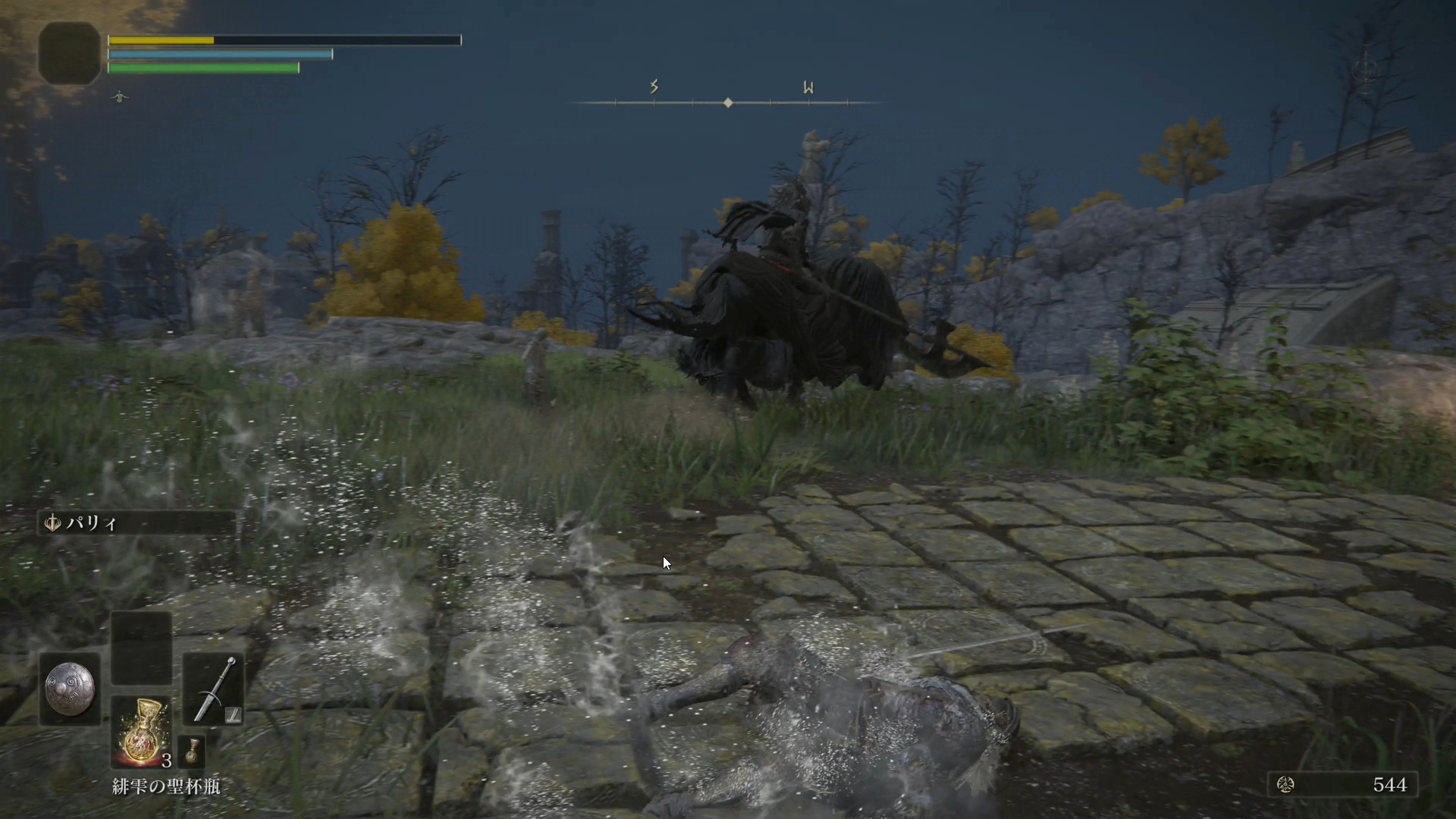 恐らく夜にしか登場しない謎の黒騎士。夜で視界も悪いところからからの強襲で、見事に散った（自分が）