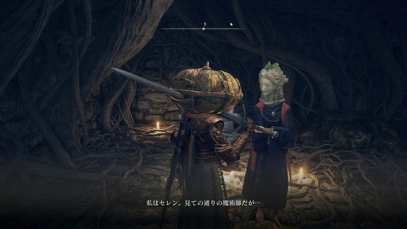 どこが見ての通りかは解らないが、魔術師のセレン。想定通り、魔術を売ってくれる