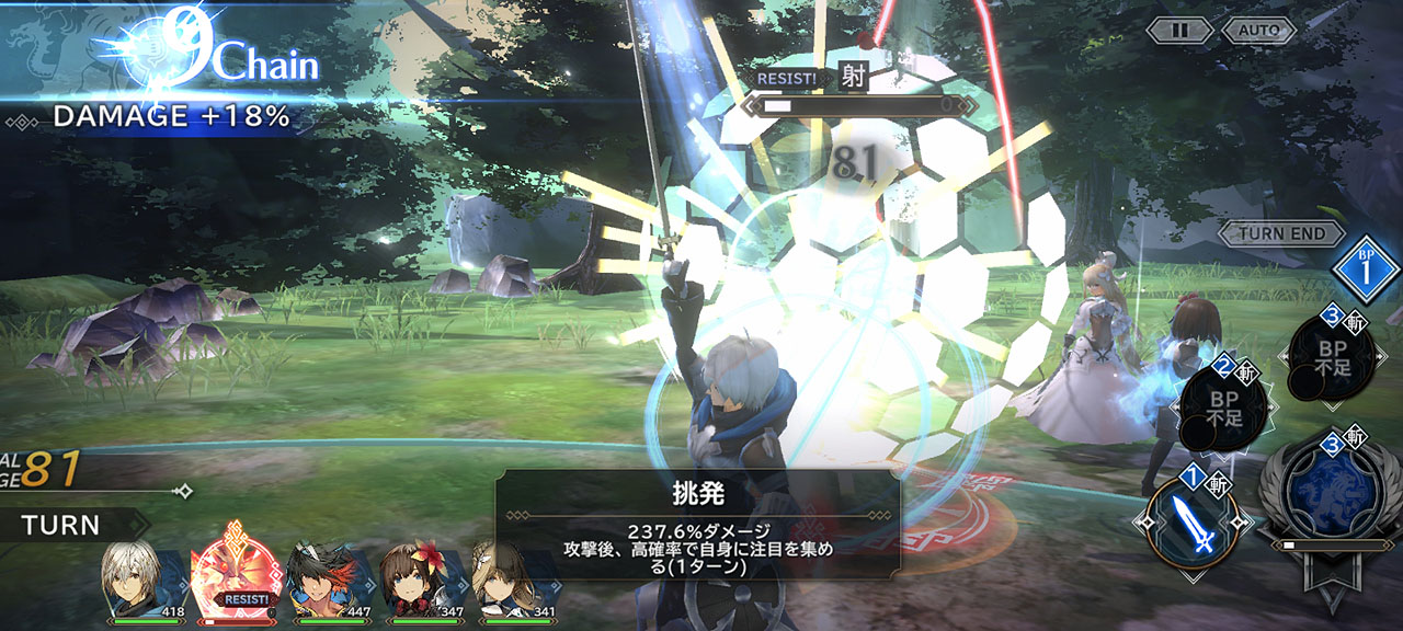 敵の攻撃を一手に受ける、挑発で何度も仲間を救ってきた