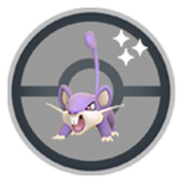 11月26日：「コラッタ」