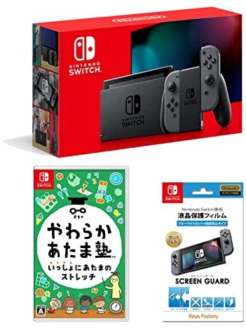 Nintendo Switch 本体Joy-Con(L)/(R) グレー+やわらかあたま塾 いっしょにあたまのストレッチ+SCREEN GUARD for Nintendo Switch