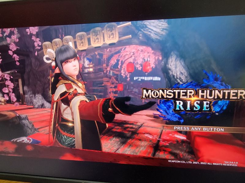 実際のモニターを確認するとこのような感じに。21：9にする事で縦軸に少し空間ができるものの、カメラ越しでこの鮮明さを維持できているのは流石だ