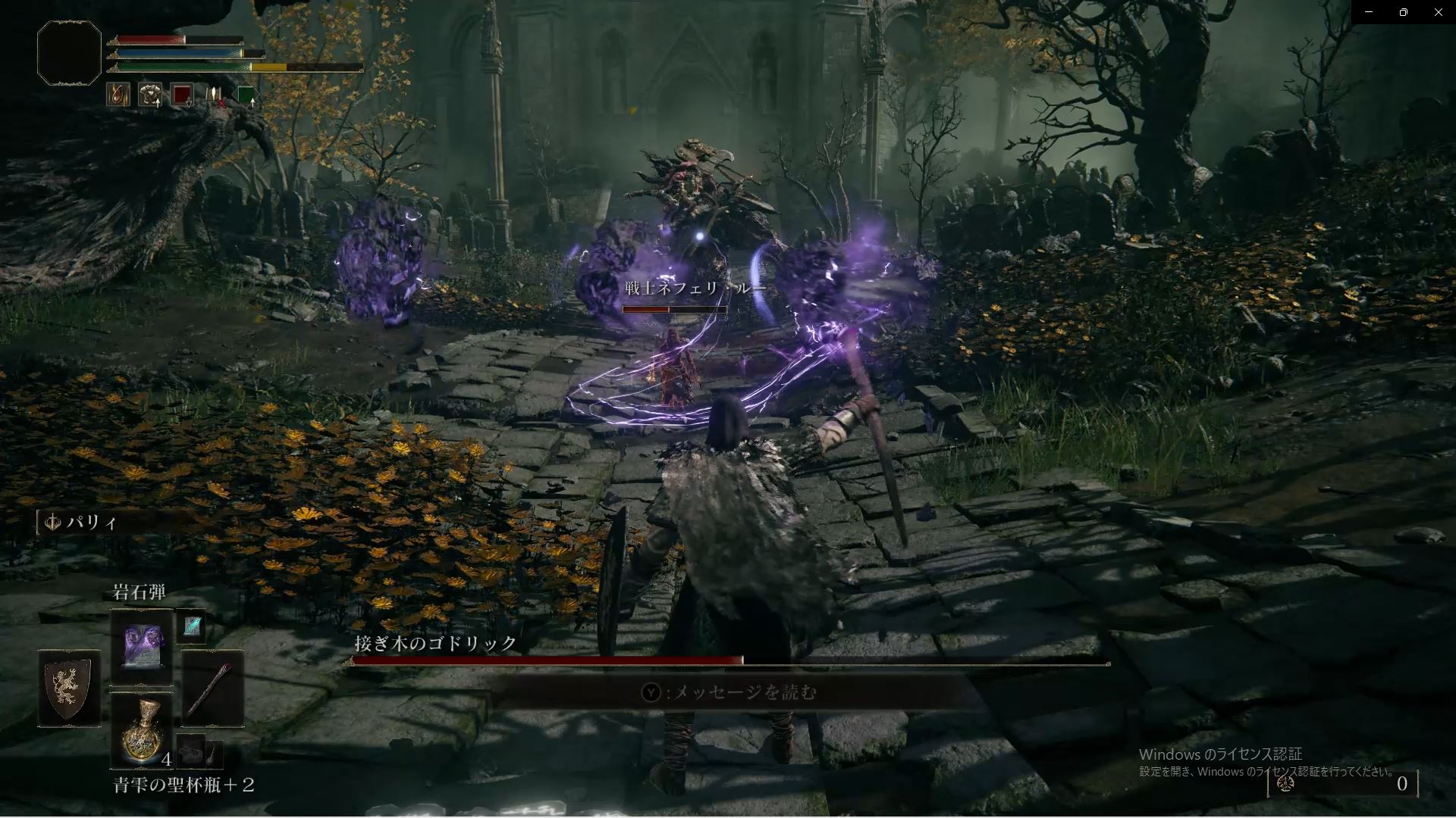 こちらはNPCの「戦士ネフェリ・ルー」と一緒に戦っている様子