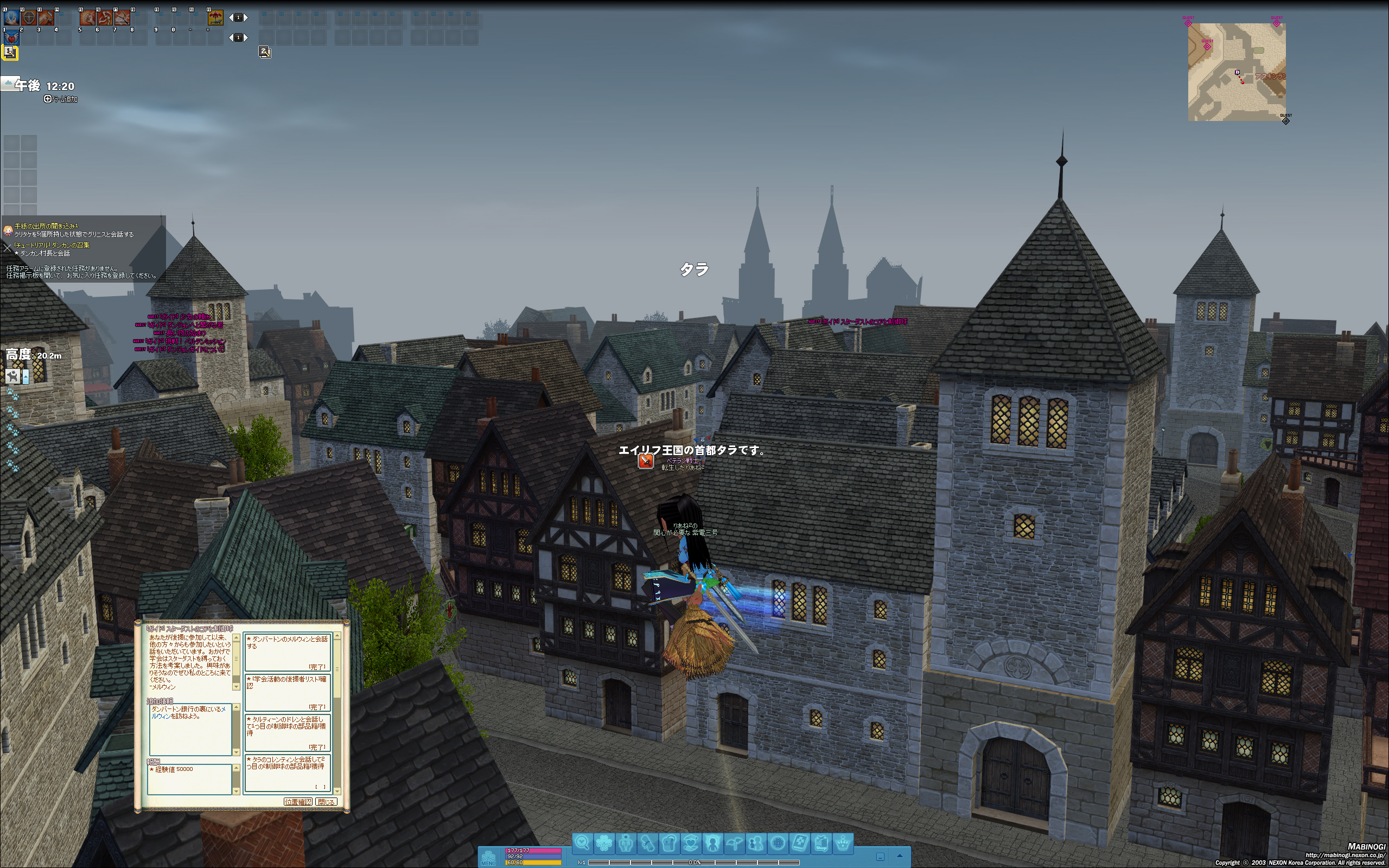 影ミッションなどを受けることができるタラの街上空を飛ぶ