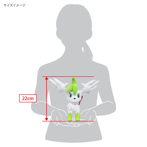 ポケモンのぬいぐるみ「ポケットモンスター ALL STAR COLLECTION