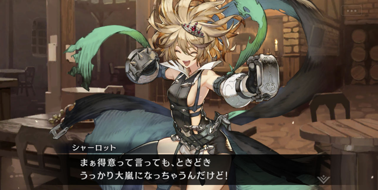 拳を武器に戦う、パワフルなアタッカーだ