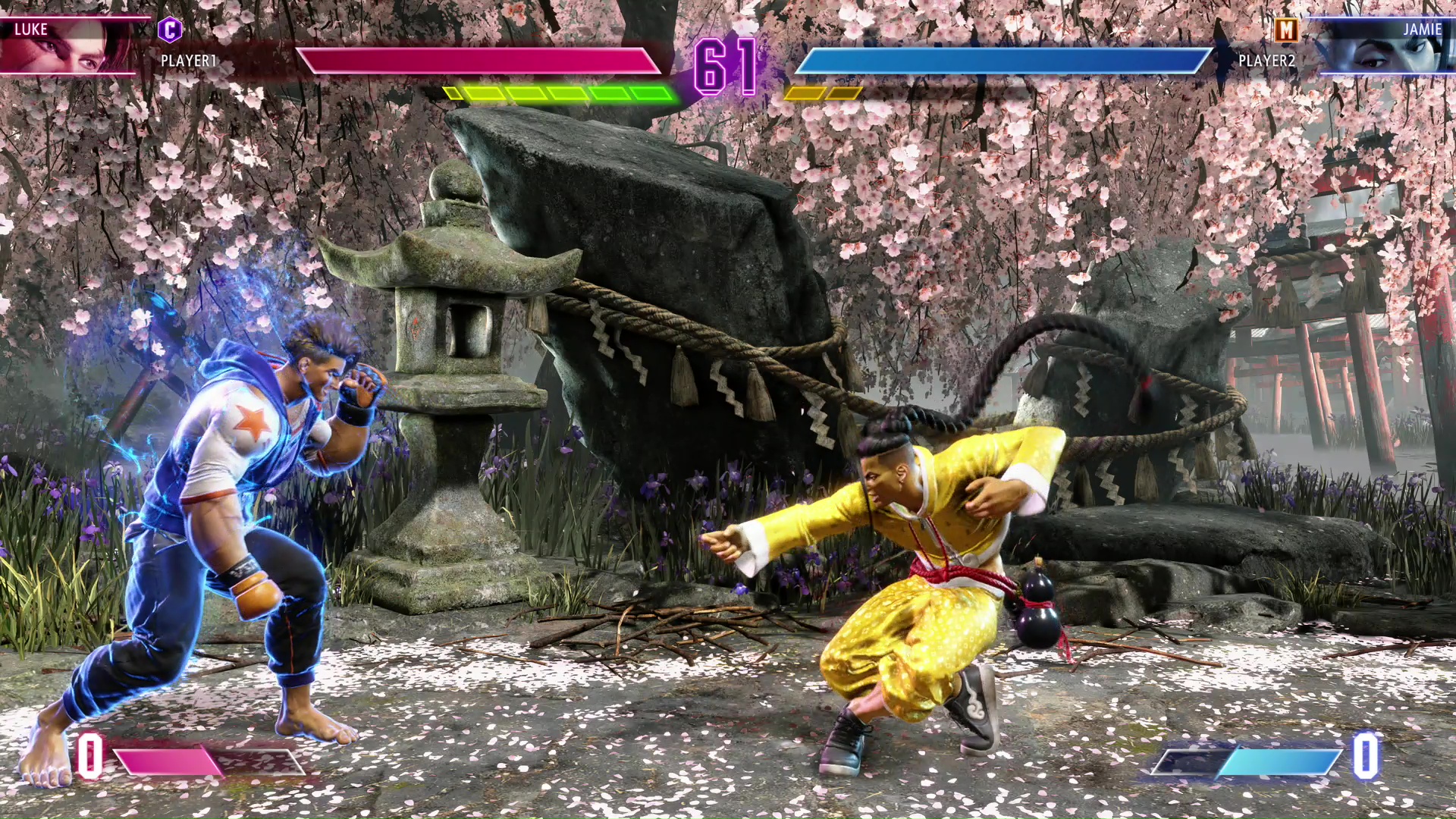 トリッキーな動きで相手を翻弄して戦う