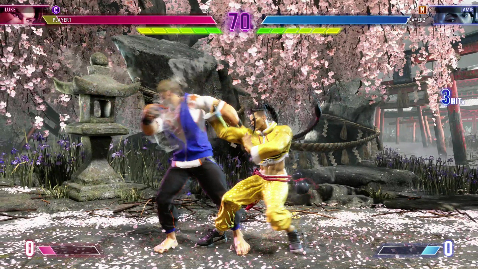 どちらのタイプで対戦しても、大きい有利不利は無いとのこと