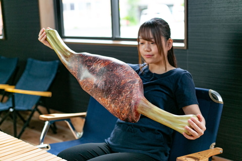 【未使用新品】1/1リアルサイズ モンスターハンター　多目的まくら こんがり肉 Amazon.co.jp: 11リアルサイズ モンハン 多目的まくら こんがり