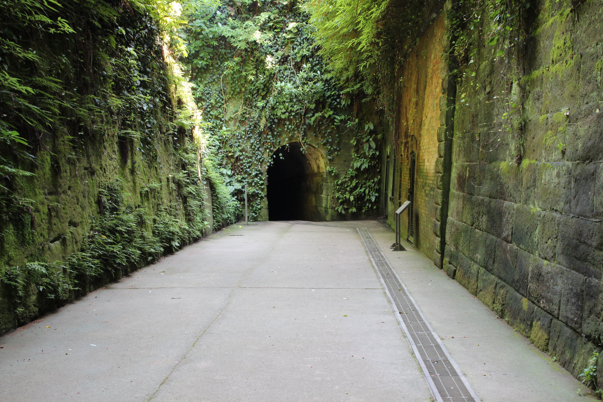 展望エリアから海を一望