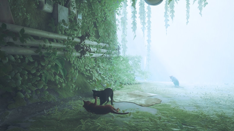 可愛い猫チャンと以下略