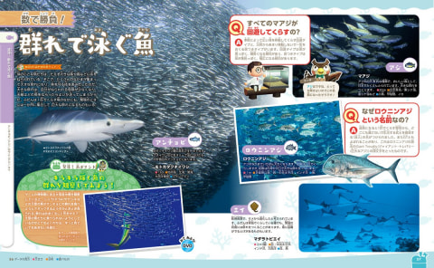 あつ森」で生き物の生態が学べる！ 「講談社の動く図鑑MOVE あつまれ