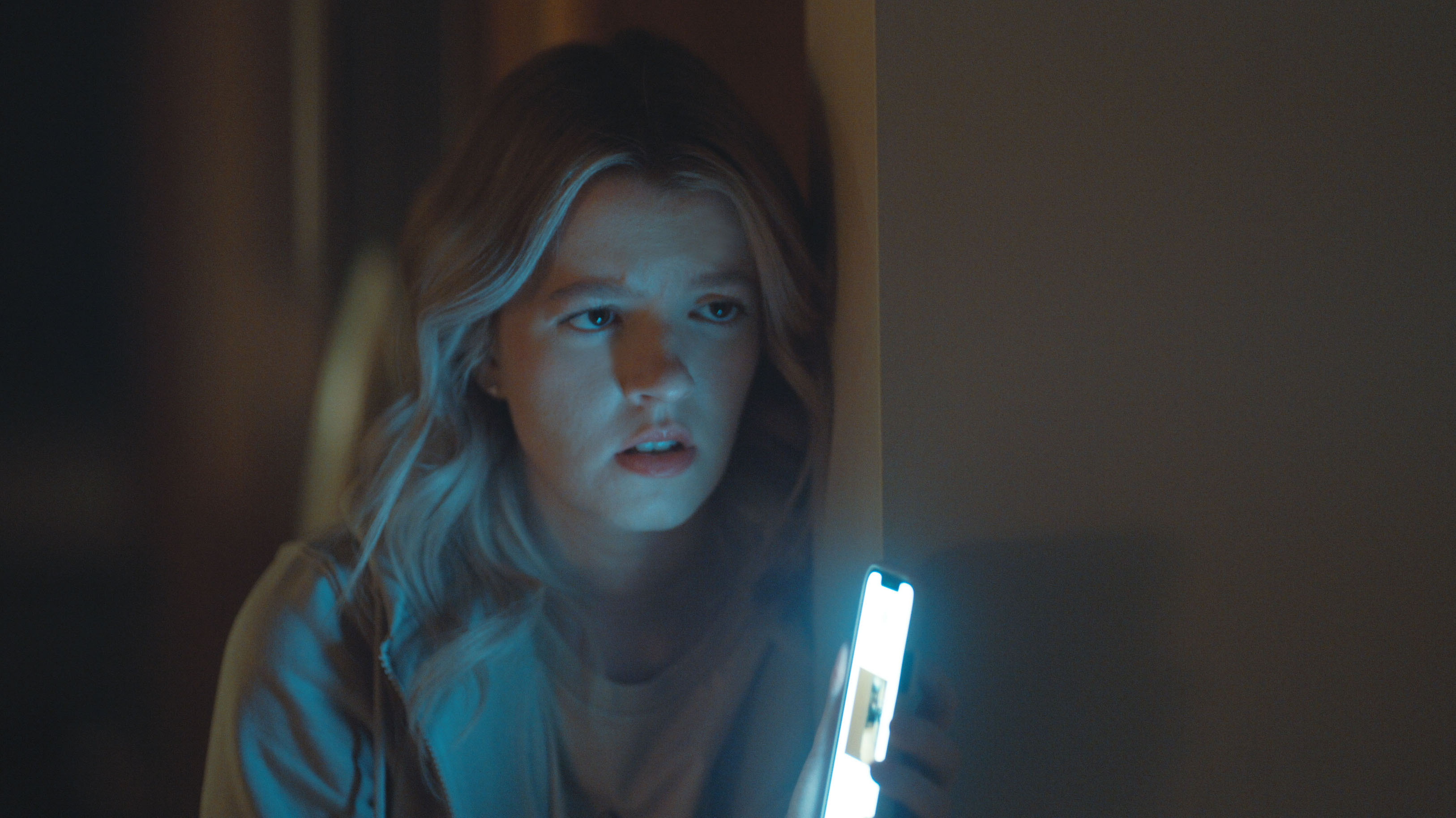 ペットシッターのアルバイトとして、人里離れた豪邸に訪れる盲目の少女・ソフィ。視覚障がいを逆手に取り、窃盗を繰り返している