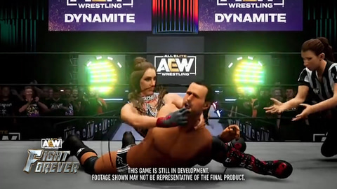 D.M.D.紹介の新作プロレスゲーム「AEW: Fight Forever」新情報公開