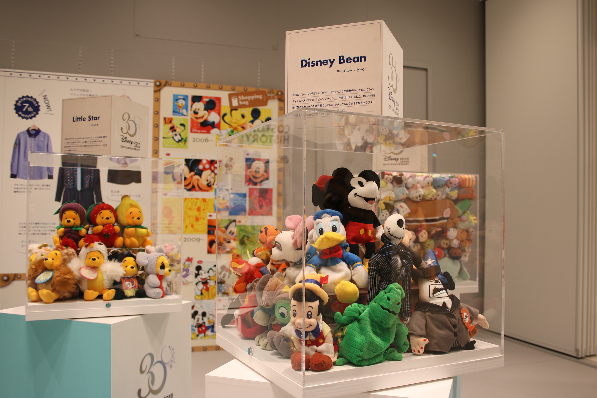 ボディや足にビーンズが入っている「ディズニー・ビーン」と、手のひらサイズのプーが様々なコスチュームになっている「リトルスター」