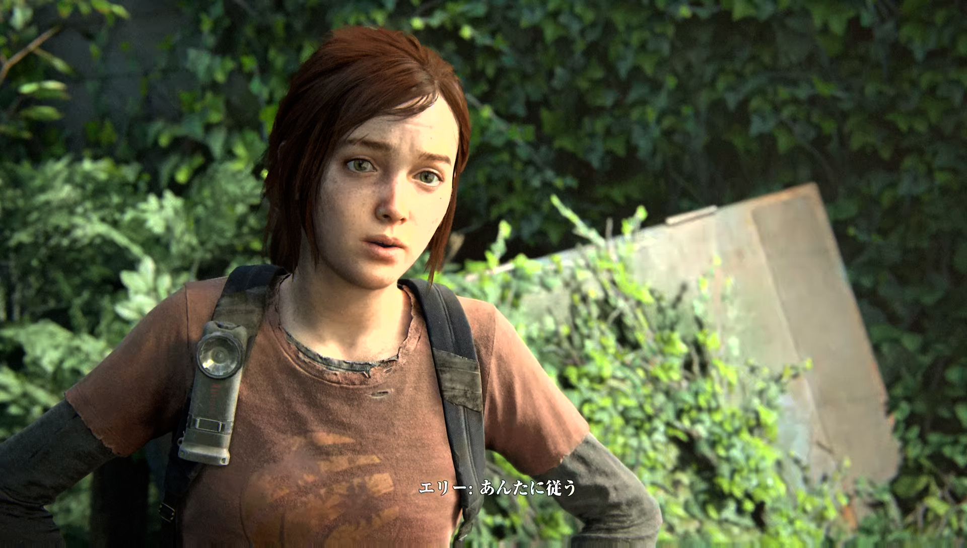 2人の間に最初は大きな壁がある