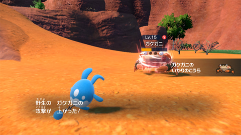 ポケモンSV」、グレンアルマ、ソウブレイズ、ガケガニ、3匹の新