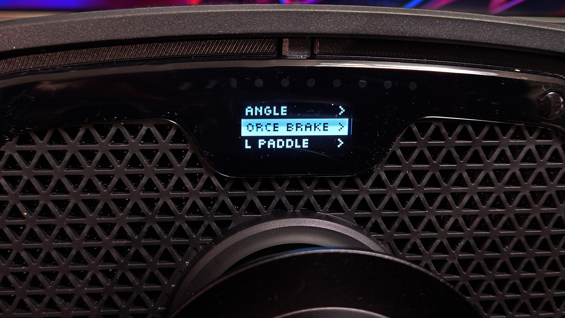 “ANGLE”はステリングの最大回転角、“BRAKE FORCE”は踏力に関する設定、“L PADDLE”は左下のアナログパドルの使用方法