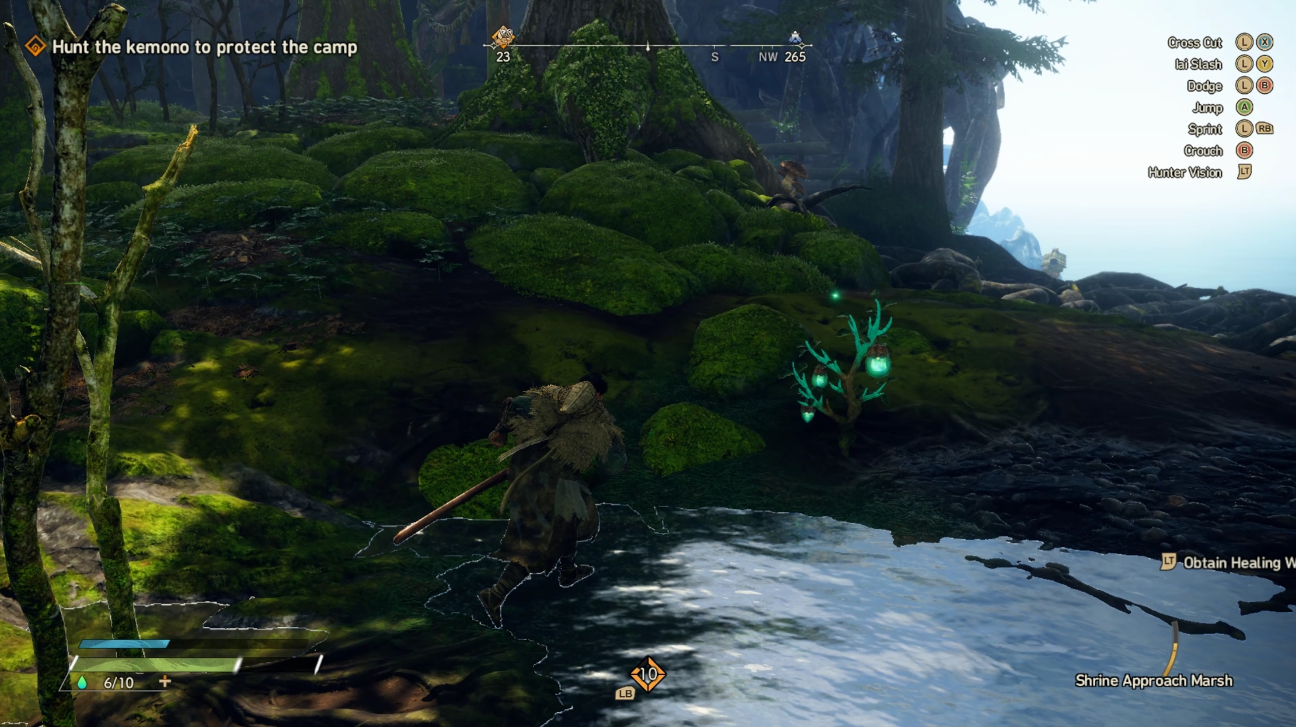 画像中央右の緑の植物が薬草だ。回収することで回復薬として使用できる